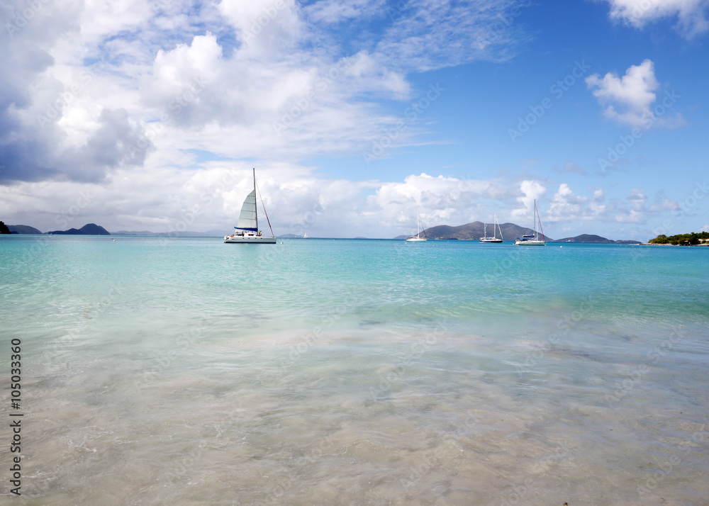 Obraz premium SUGAR CANE BEACH,TORTILLA,BRITISH VIRGIN ISLANDS