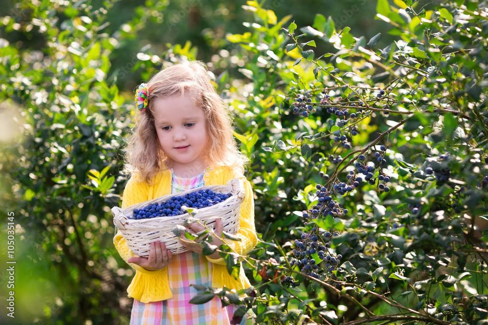 Kids picking fresh berries on blueberry field. Children pick blue berry on organic farm. Little girl playing outdoors in fruit orchard. Toddler farming. Preschooler gardening. Summer family fun. Kids picking fresh berries on blueberry field. Children pick blue berry on organic farm. Little girl playing outdoors in fruit orchard. Toddler farming. Preschooler gardening. Summer family fun.
