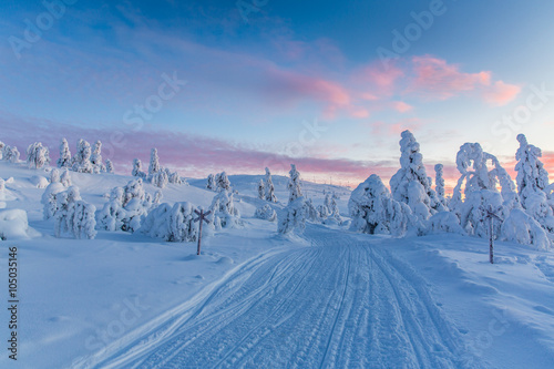 Abendstimmung im winterlichen Lappland