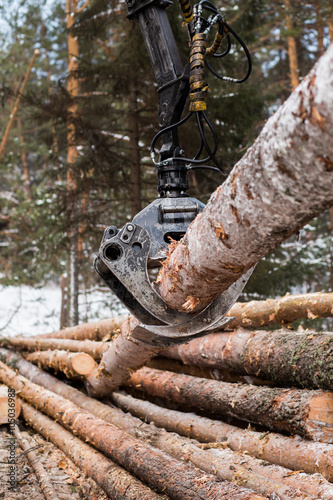 Tree log hydraulic manipulator