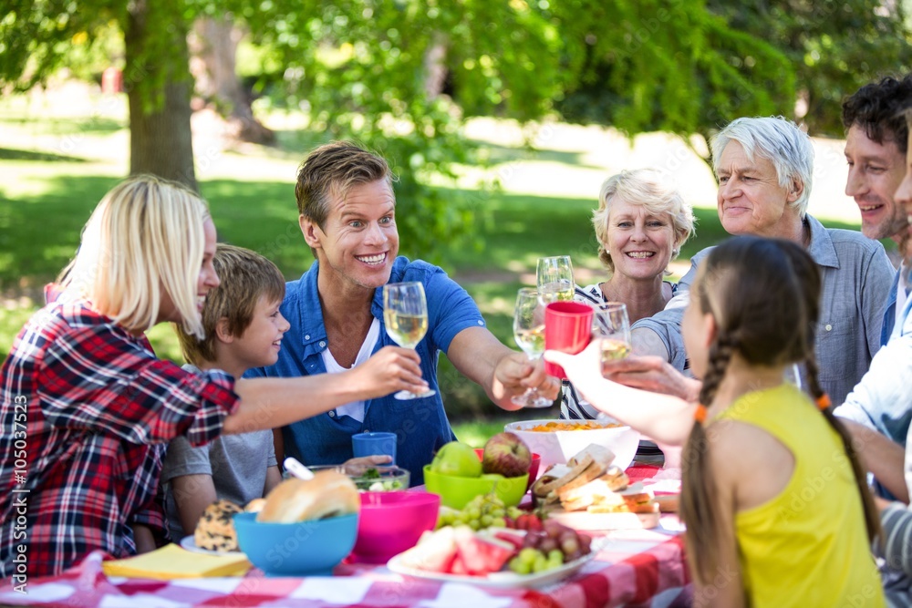 Family and friends having a picnic Family and friends having a picnic