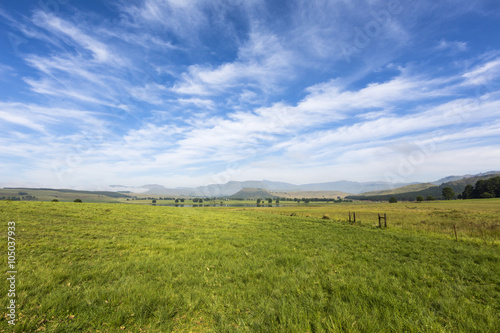 Green pastures and thin clouds