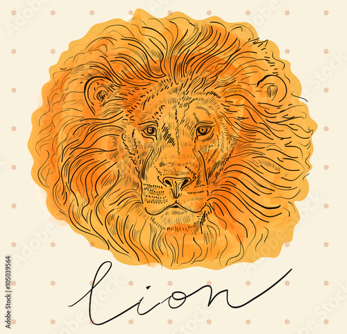 Vector illustration with lion's head