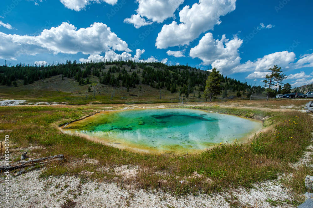Natural hot spring, Yellowstone National Park