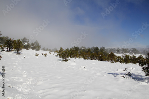 Snowy landscape at winter