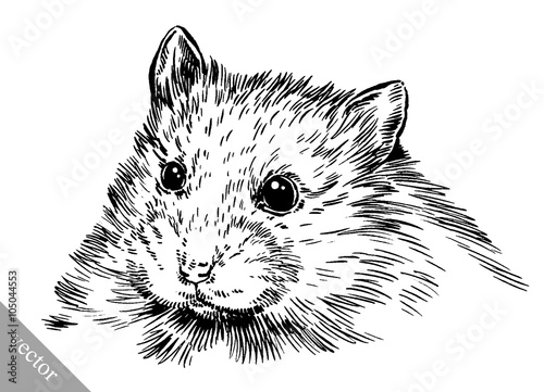 engrave ink draw hamster illustration