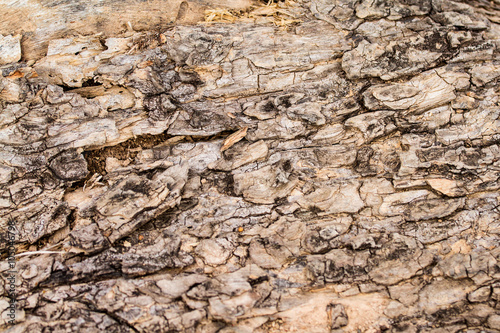 Brown old wood pattern texture background. © bubbers