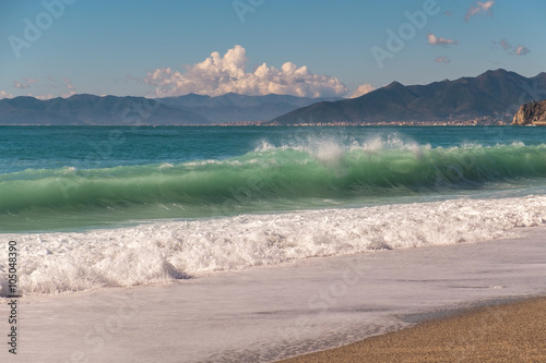 The wave