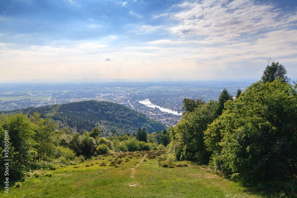 Cityscape of the Heidelberg