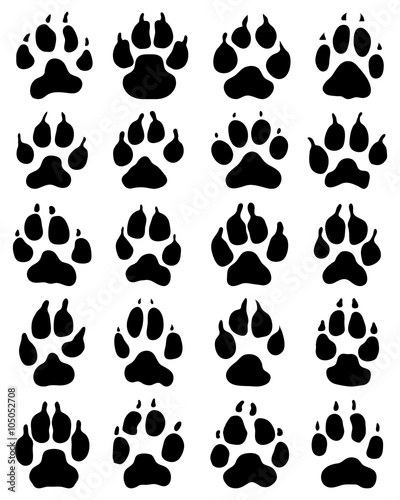 Black print of dogs paws on white background, vector