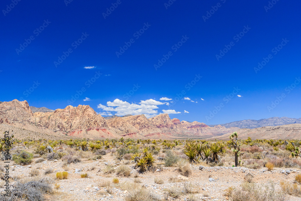 Red Rock Canyon panoramic, Mojave Desert, Nevada, USA