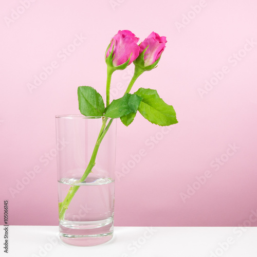 The beautiful roses flower with glass of water for Valentine' day