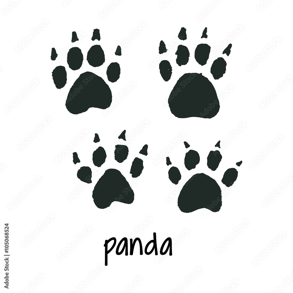 Fototapeta premium World wildlife day panda foot step