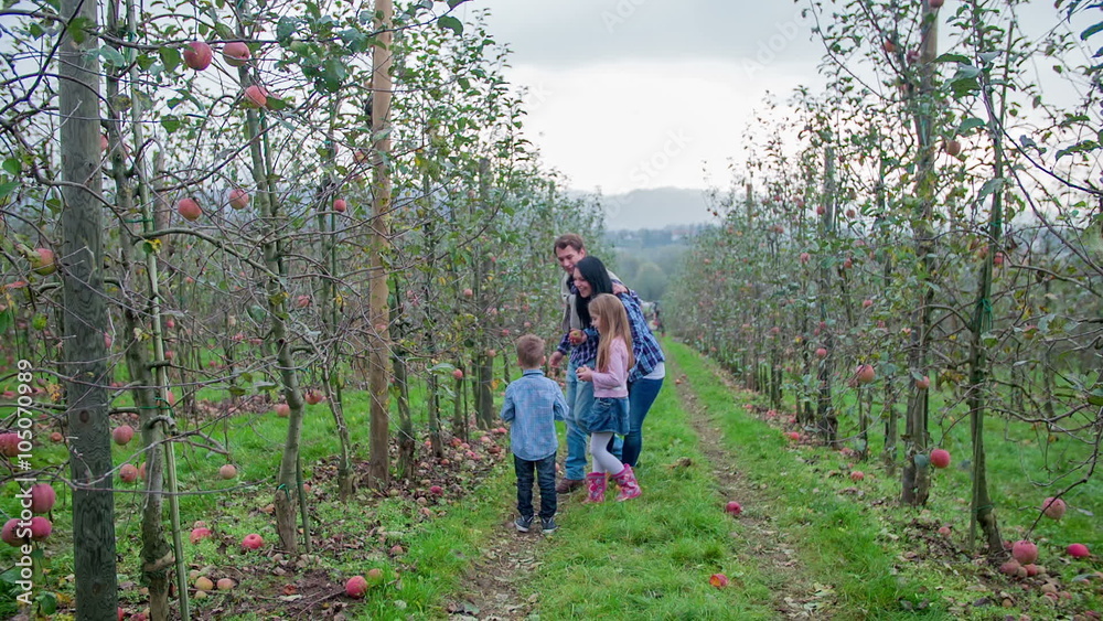 Young family walking in orchard Young family walking in orchard