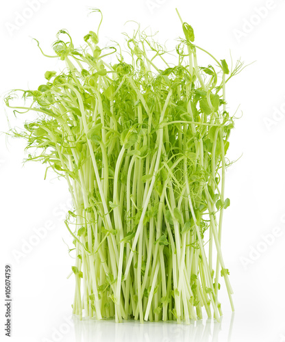 Pea Shoots on white background