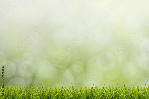 Grass and green blurred background