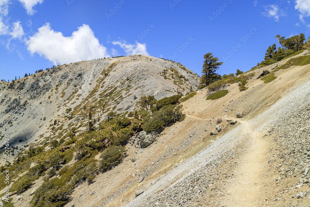 Hiking in the Mt. Baldy Trail