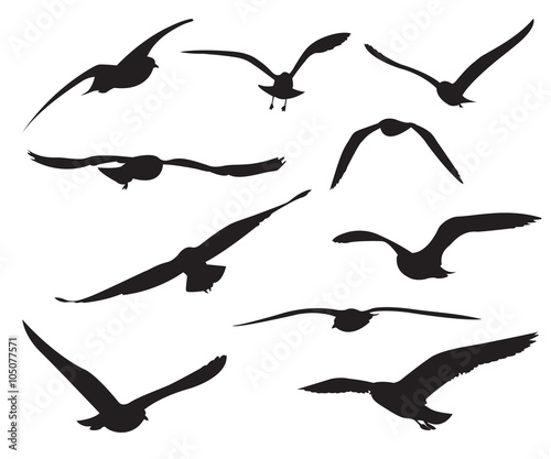 Wallpaper Mural Seagull Set Silhouettes on the white background Torontodigital.ca