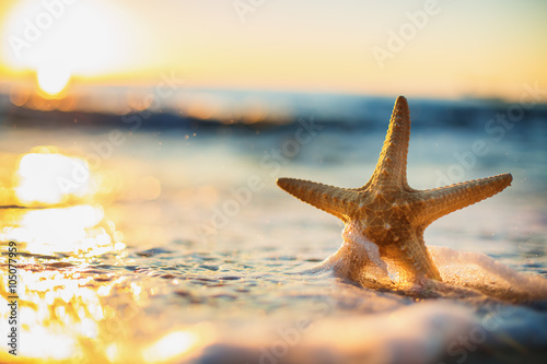 Fototapeta Naklejka Na Ścianę i Meble -  Starfish on the beach at sunrise
