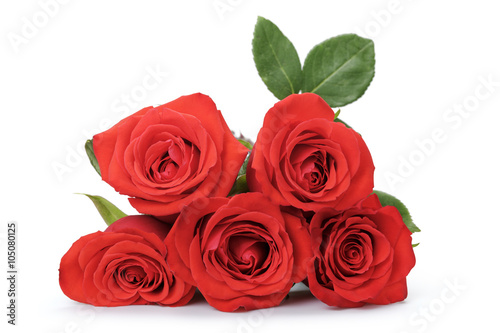 five bright red roses isolated on white background