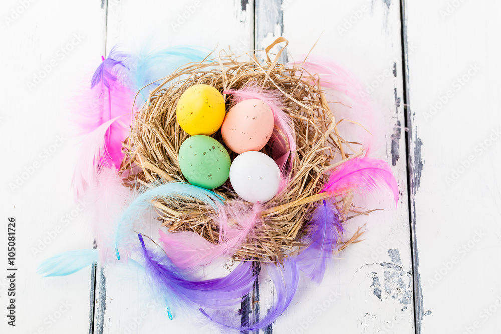 Obraz premium pastellfärgade ägg i fågelbo mot vintage bakgrund och fjädrar