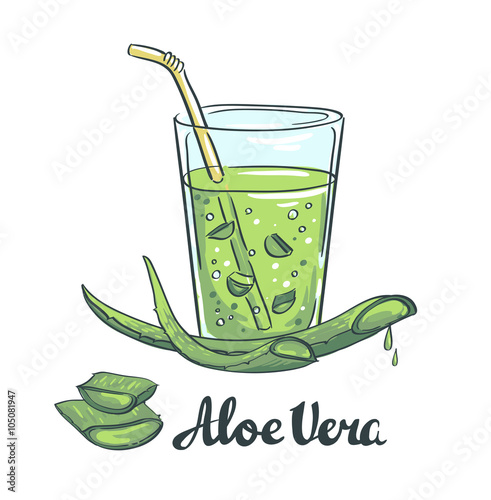 Slices of Aloe Vera in a glass. Healthy cocktail. Vector illustration.