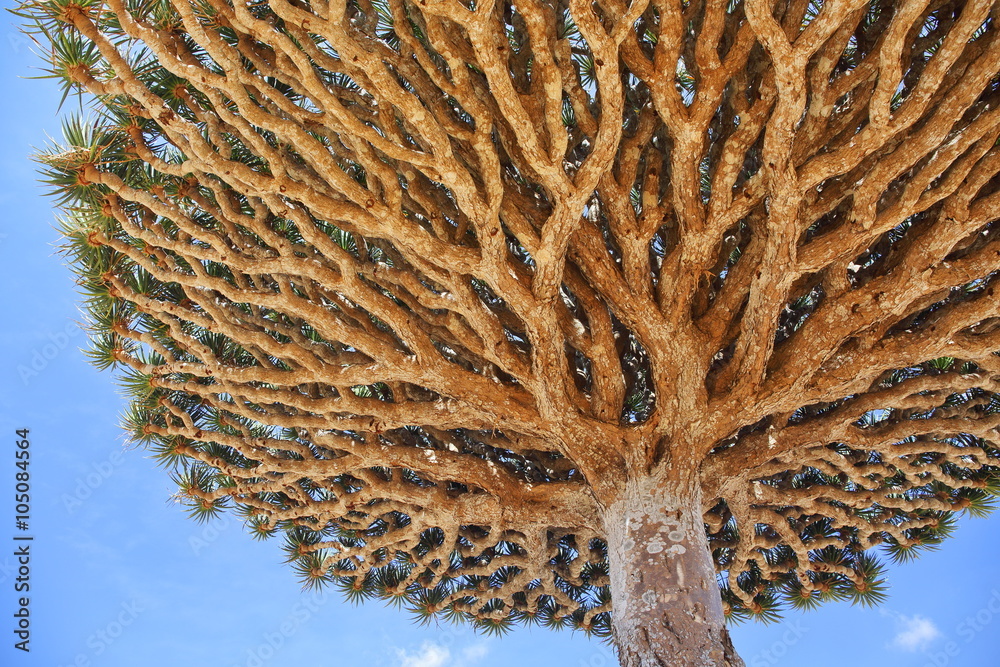 Blood On The Leaves Tree