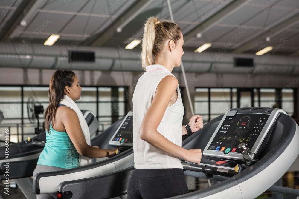 Women exercising on treadmills Women exercising on treadmills