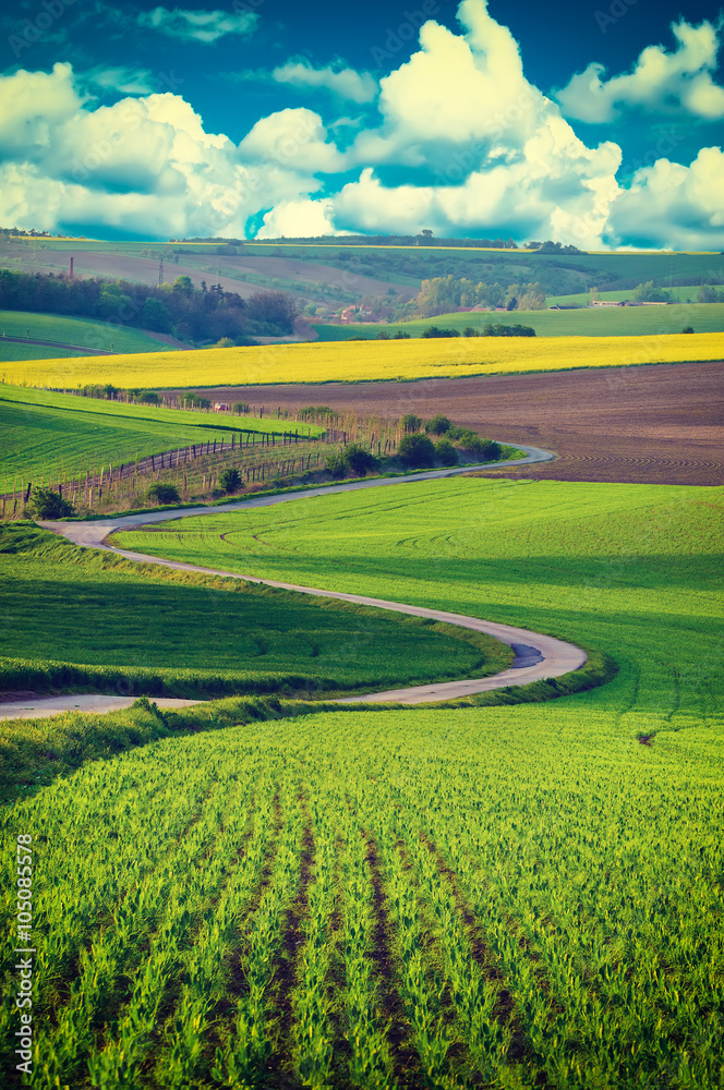 Rural landscape with green fields, road and waves, South Moravia, Czech Republic - natural seasonal retro hipster image