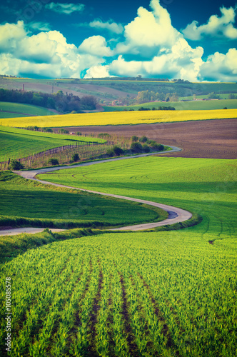 Rural landscape with green fields, road and waves, South Moravia, Czech Republic - natural seasonal retro hipster image