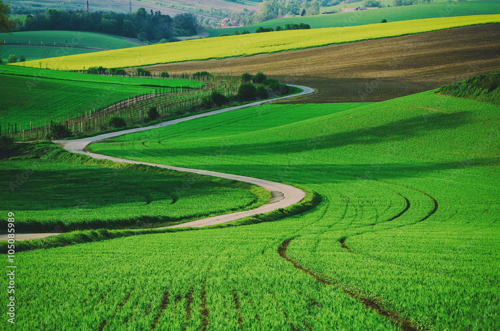 Rural landscape with green fields, road and waves, South Moravia, Czech Republic - natural seasonal retro hipster image