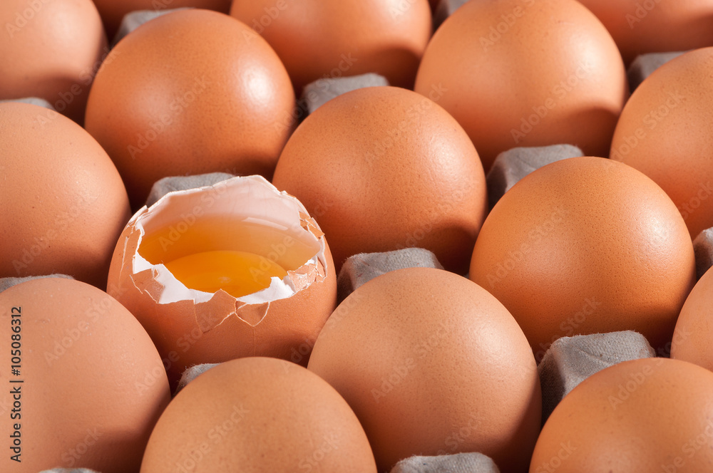 Chicken egg Chicken egg