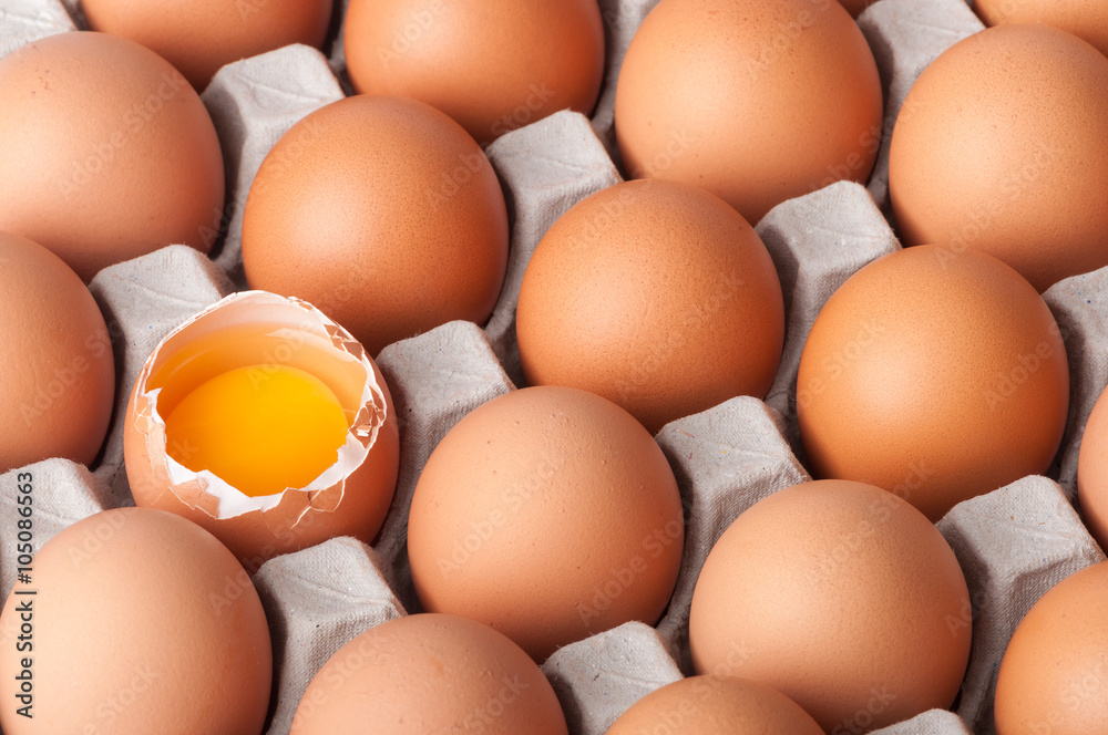 Chicken egg Chicken egg