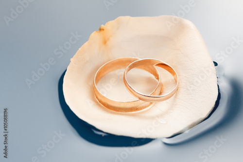 Wedding rings on the rose p...