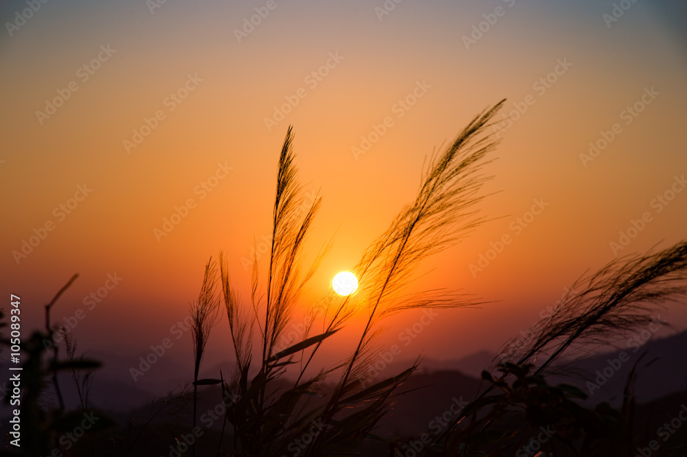 Fototapeta premium Scenic destination in the morning