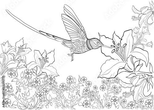 Hand drawn ink pattern. Coloring book Coloring for adult