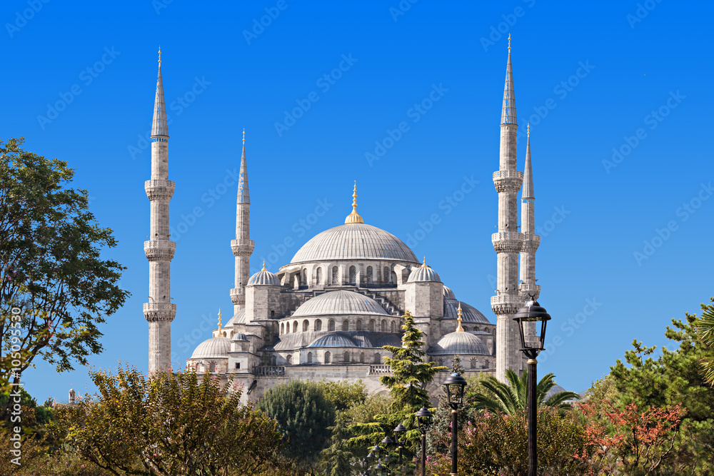 Obraz premium The Blue (Sultanahmet) Mosque