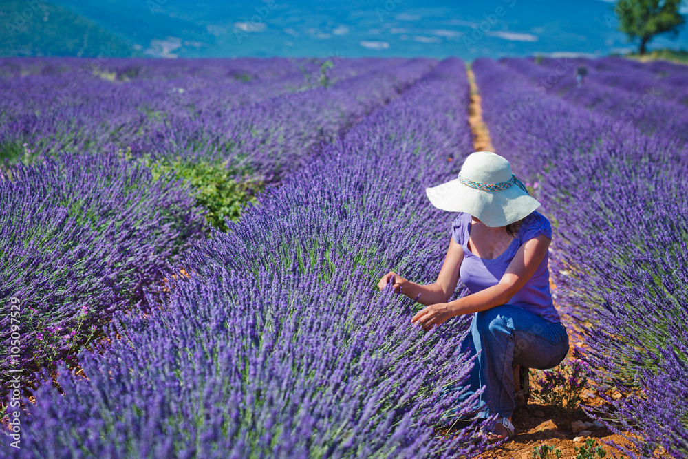 Obraz premium Woman in the lavander fields