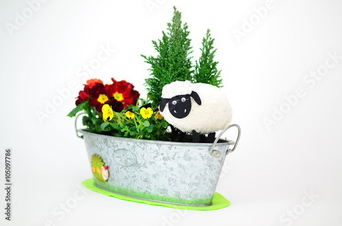 Картината върху платно Easter lamb  /  Easter lamb in the windowbox with the colorful flowers