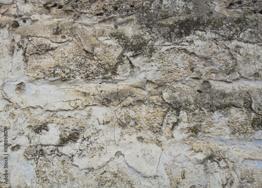 Fototapeta premium 石の表面