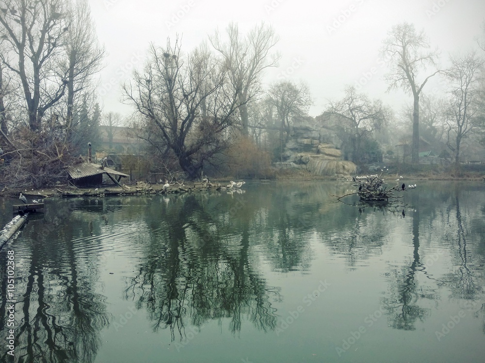 Fototapeta premium Misty lake