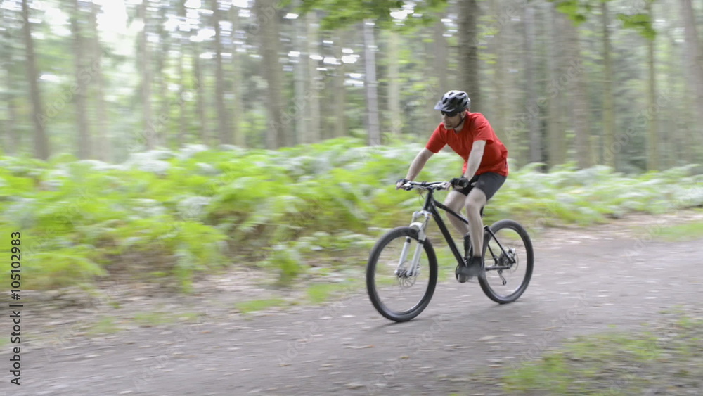 Cyclist Riding Mountain Bike on a Forest Track
Cyclist Riding Mountain Bike on a Forest Track