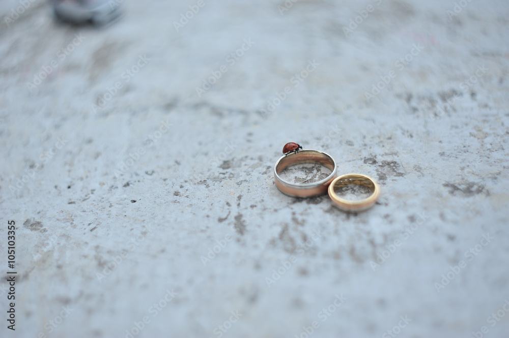 wedding rings and ladybird