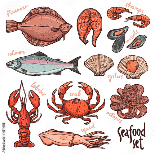 Seafood collection, hand drawn color illustration with lobster, octopus, squid, salmon, flounder, crab, mussels, oysters and shrimps on white background