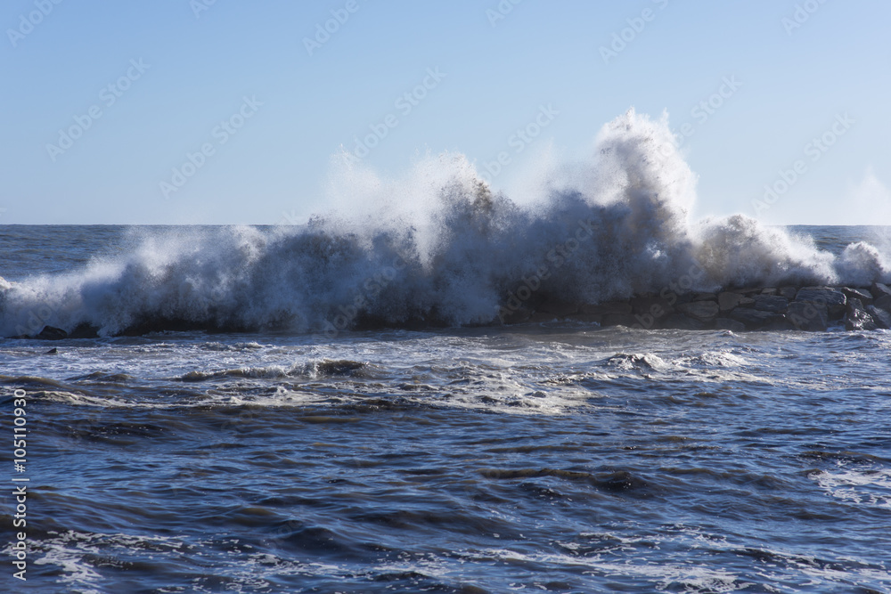 Wave on the coast