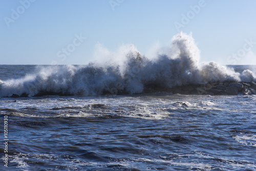 Wave on the coast