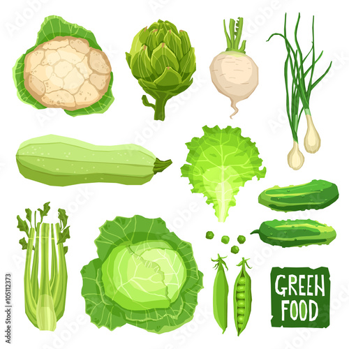 Set of fresh green vegetables, healthy and organic food collection with cauliflower, cabbage, artichoke, onions, garlic, salad, squash, cucumber and celery