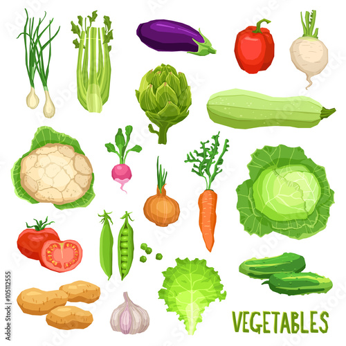 Set of fresh vegetables, healthy and organic food collection