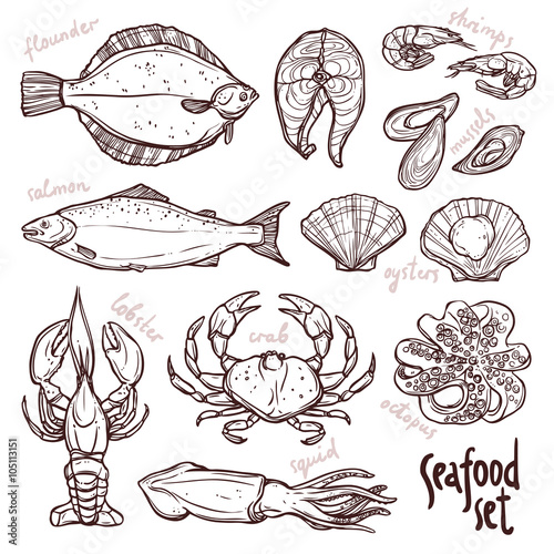 Sketch seafood collection, hand drawn illustration with lobster, squid, salmon, flounder, crab, octopus, mussels, oysters and shrimps on white background