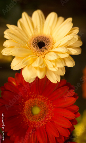 Bunch of flowers bridal bouquet